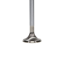 Load image into Gallery viewer, Manley Performance Manley Ford GT350 Voodoo 5.2L Race Master Series Exhaust Valve Set - 1.280in Dia