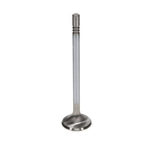 Load image into Gallery viewer, Manley Performance Manley Ford GT350 Voodoo 5.2L Race Master Series Exhaust Valve Set - 1.280in Dia