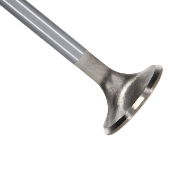 Manley Performance Manley Ford GT350 Voodoo 5.2L Race Master Series Intake Valve Set - 1.508in