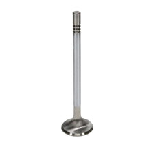 Load image into Gallery viewer, Manley Performance Manley Ford GT350 Voodoo 5.2L Race Master Series Intake Valve Set - 1.508in