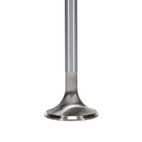 Manley Performance Manley Ford Modular Coyote 5.0L Gen III Race Master Series Exhaust Valve Set - 1.260in Dia