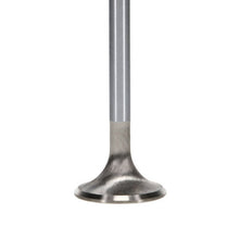 Load image into Gallery viewer, Manley Performance Manley Ford Modular Coyote 5.0L Gen III Race Master Series Exhaust Valve Set - 1.260in Dia