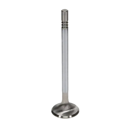 Manley Performance Manley Ford Modular Coyote 5.0L Gen III Race Master Series Exhaust Valve Set - 1.260in Dia