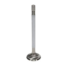 Load image into Gallery viewer, Manley Performance Manley Ford Modular Coyote 5.0L Gen III Race Master Series Exhaust Valve Set - 1.260in Dia