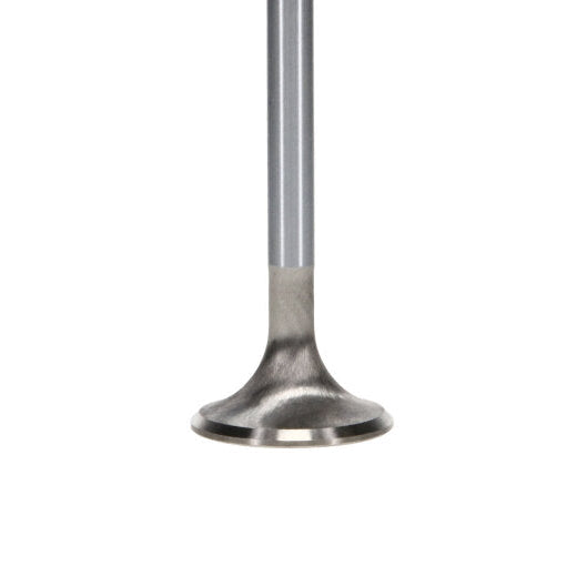 Manley Performance Manley Ford Modular Coyote 5.0L Gen III Race Master Series Intake Valve Set - 1.485in Dia