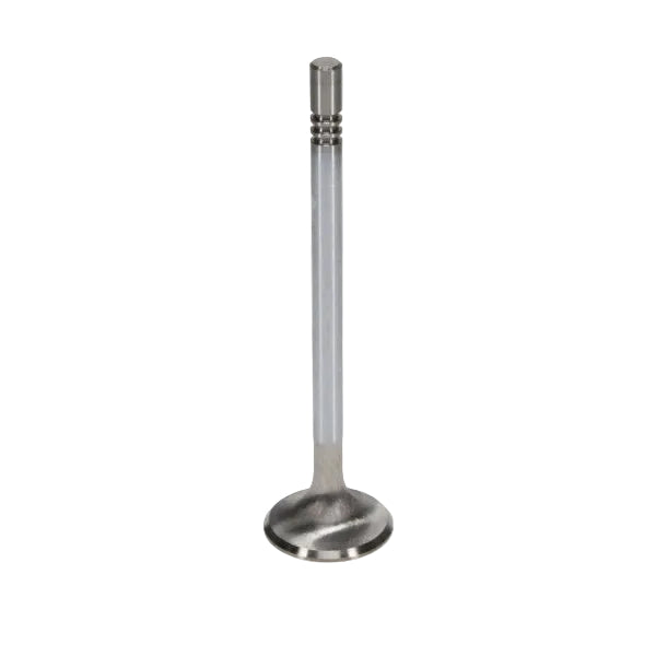 Manley Performance Manley Ford Modular Coyote 5.0L Gen III Race Master Series Intake Valve Set - 1.485in Dia