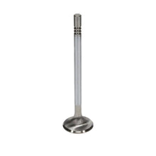 Load image into Gallery viewer, Manley Performance Manley Ford Modular Coyote 5.0L Gen III Race Master Series Intake Valve Set - 1.485in Dia