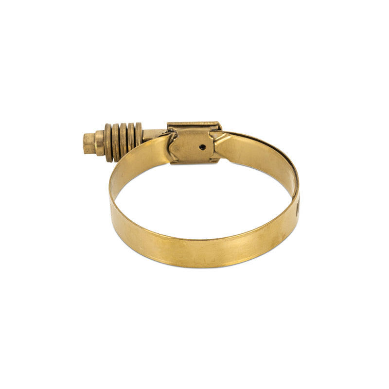 Mishimoto Mishimoto Constant Tension Worm Gear Clamp 1.77in.-2.60in. (45mm-66mm) - Gold