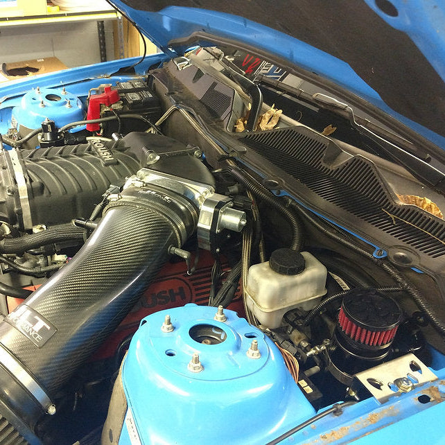 Mighty Mouse MMS-COYOTE-WILD wild catch can installed on 2015 Ford Mustang GT