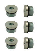 Load image into Gallery viewer, Moroso Pipe Plug w/O-Ring -8An 3/4in-16 - Steel - 6 Pack - Moroso 97005