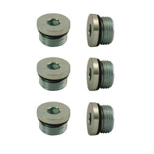 Load image into Gallery viewer, Moroso Pipe Plug w/O-Ring -8An 3/4in-16 - Steel - 6 Pack - Moroso 97005