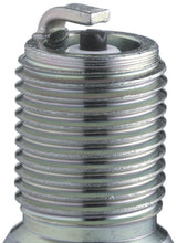 Load image into Gallery viewer, NGK Nickel Spark Plug Box of 10 (BR7EF) - Black Ops Auto Works