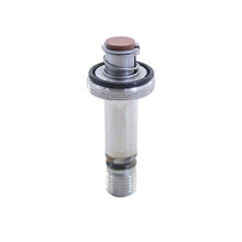 Load image into Gallery viewer, Nitrous Express Piston Only Gasoline .310 Stainless Solenoid .187 &amp;.310 Lightning Solenoids, product view 1