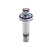 Load image into Gallery viewer, Nitrous Express Piston Only Gasoline .310 Stainless Solenoid .187 &amp;.310 Lightning Solenoids, product view 5