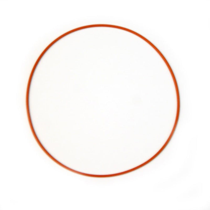 Nitrous Express Replacement O-Ring Gasket for Coyote Plate, product view 3
