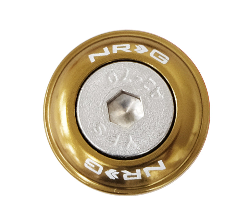 NRG Fender Washer Kit w/Rivets For Plastic (Titanium) - Set of 10 - Black Ops Auto Works