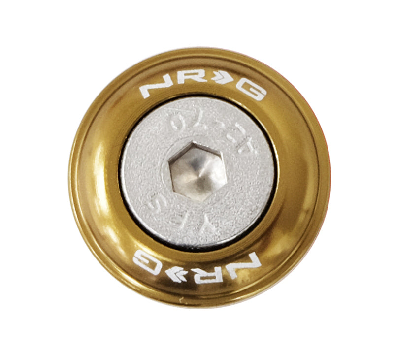 NRG Fender Washer Kit w/Rivets For Plastic (Titanium) - Set of 10 - Black Ops Auto Works
