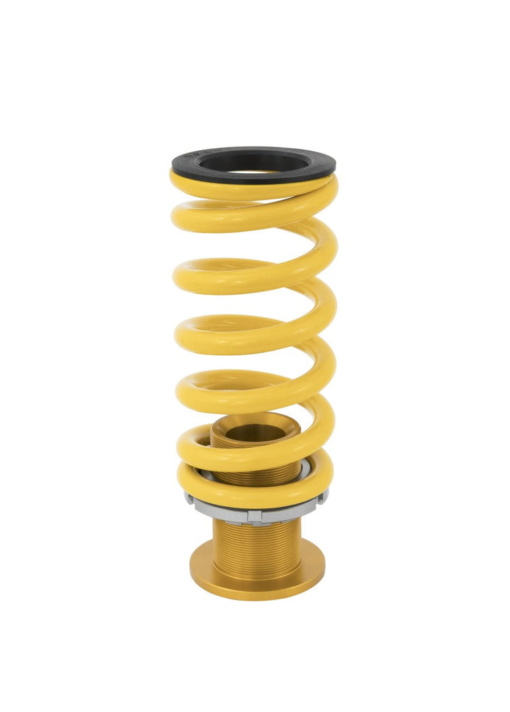 Ohlins 17-21 Honda Civic Type R (FK8) 23 Honda Civic Type R (FL5) Road &amp; Track Coilover System - Black Ops Auto Works