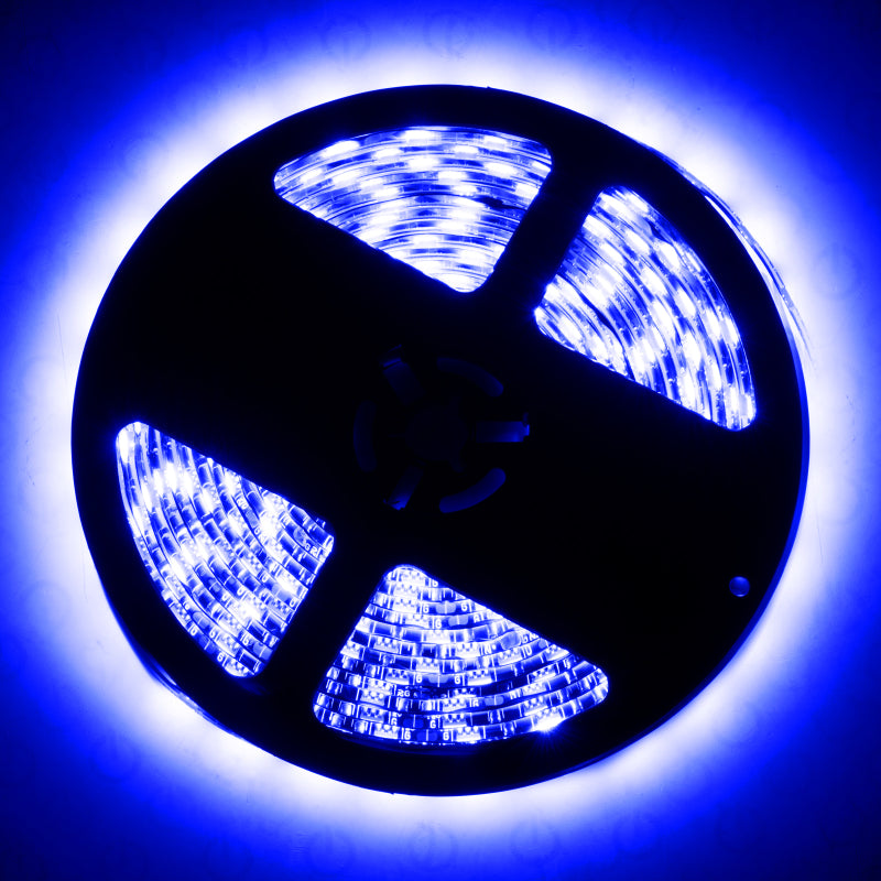 Oracle Exterior Black Flex LED 12in Strip - RGB ColorSHIFT - ORACLE Lighting ORL3804-333