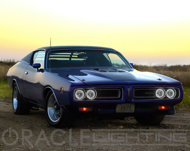 Oracle Pre-Installed Lights 5.75 IN. Sealed Beam - White Halo - Black Ops Auto Works