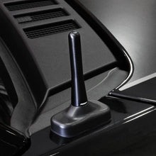 Load image into Gallery viewer, Perrin 17-19 Ford F-150 Raptor Shorty Antenna - 3in - Perrin Performance PFP-BDY-100