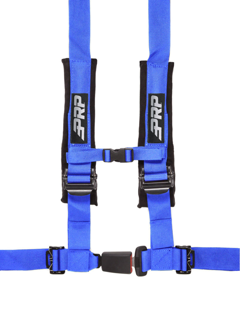 PRP 4.2 Harness- Blue - Black Ops Auto Works