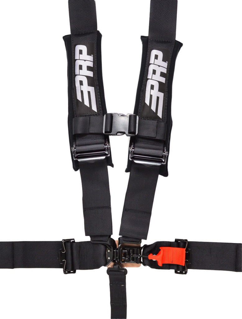 PRP 5.3 Harness- Black - Black Ops Auto Works