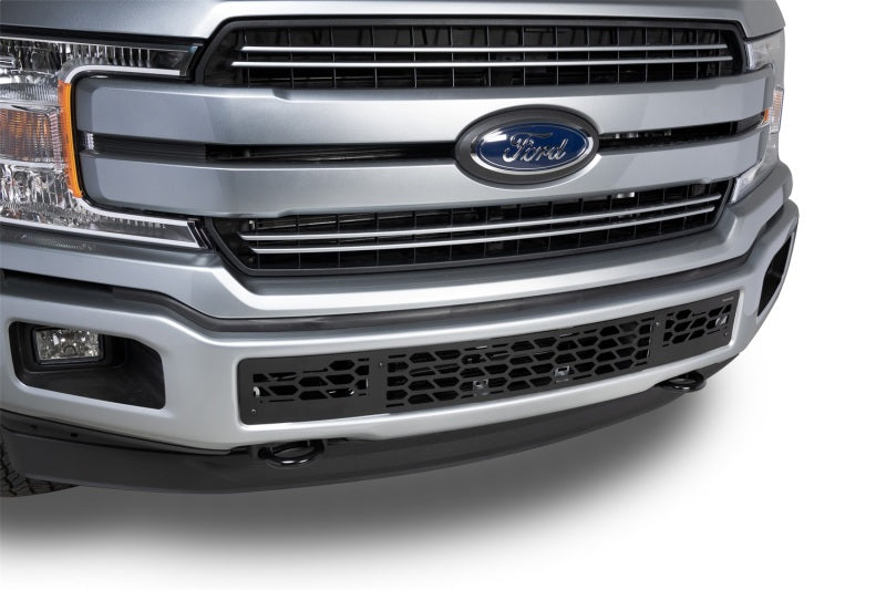 Putco 18-20 Ford F-150 - Hex Shield - Black Powder Coated Bumper Grille Inserts - Black Ops Auto Works