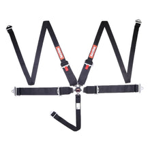 Load image into Gallery viewer, RaceQuip Black SFI CAMLOCK 5pt PD Lap HNR Seat Belt - RQP745005RQP - product view 1