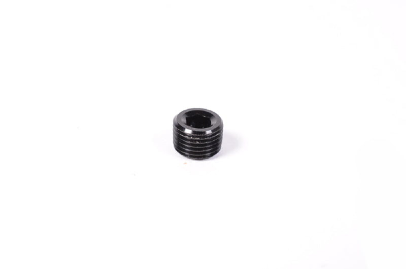 Radium Engineering 1/8in NPT Plug - Black Ops Auto Works