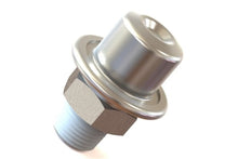 Load image into Gallery viewer, Radium Engineering Fuel Pulse Damper - Black Ops Auto Works