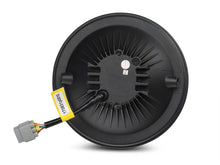 Load image into Gallery viewer, Raxiom Raxiom 05-09 Ford Mustang GT Axial Series LED Halo Fog Lights