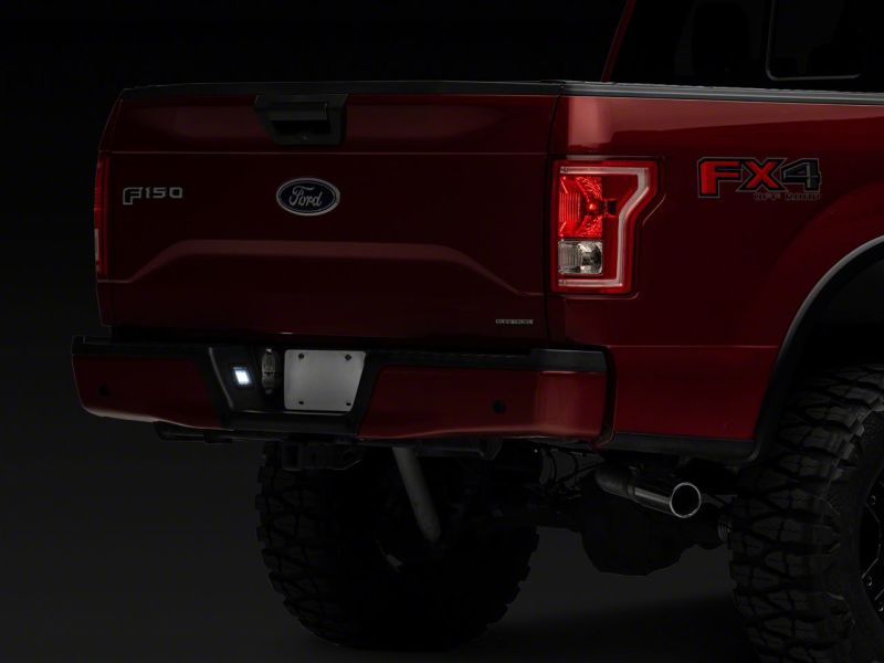 Raxiom Raxiom 07-14 Ford F-150 Axial Series LED License Plate Lamps- Smoked