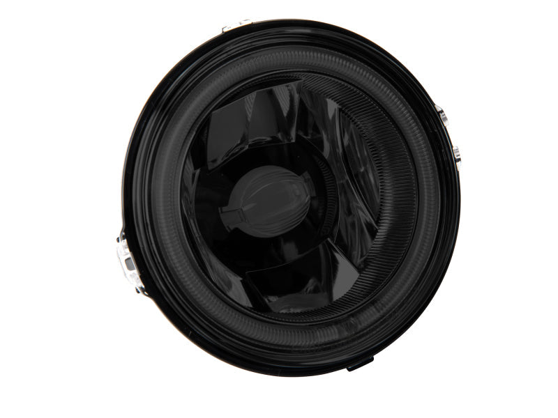 Raxiom 13-14 Ford Mustang GT CCFL Halo Fog Lights (Smoked) - Black Ops Auto Works