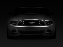 Load image into Gallery viewer, Raxiom 13-14 Ford Mustang GT CCFL Halo Fog Lights (Smoked) - Black Ops Auto Works