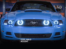 Load image into Gallery viewer, Raxiom 13-14 Ford Mustang GT CCFL Halo Fog Lights (Smoked) - Black Ops Auto Works