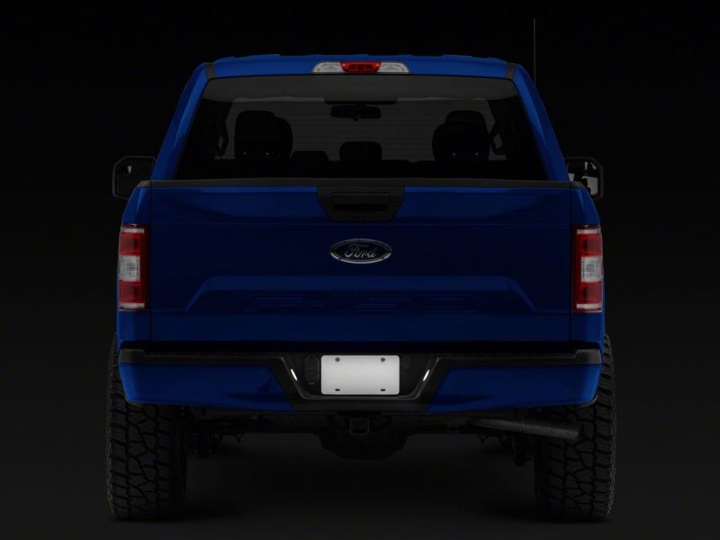 Raxiom Raxiom 15-23 Ford F-150 Axial Series LED License Plate Lamps