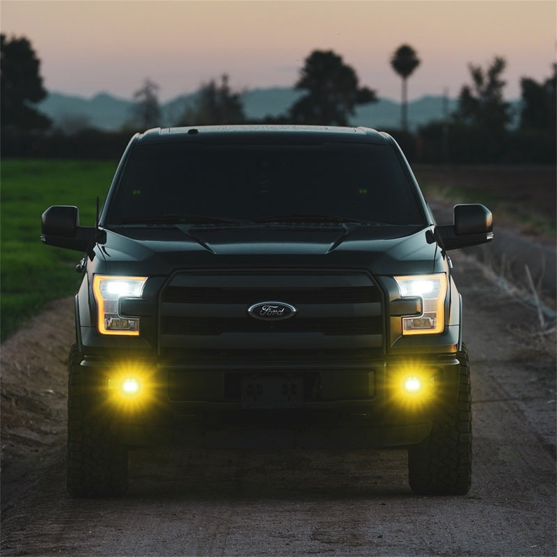 Rigid Industries D-Series SAE Fog Yellow/White Pair - Black Ops Auto Works