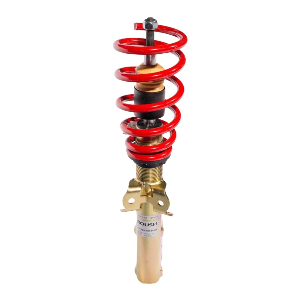 Roush 421839 coilovers product view 3