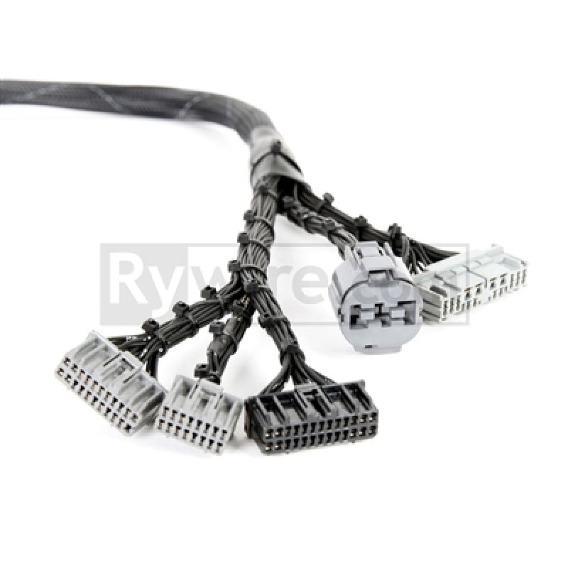Rywire Honda B-Series OBD1 Tuck Budget Eng Harness w/OBD1 Dist/Inj/Alt/92-95 ECU Plugs (Adapter Req) - Black Ops Auto Works