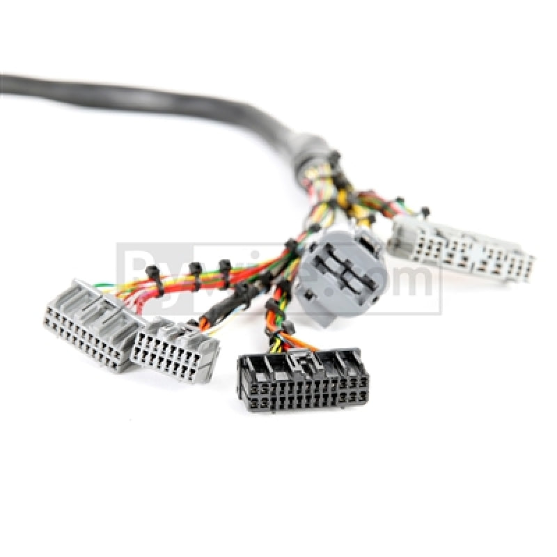 Rywire Honda B/D-Series Mil-Spec Eng Harness w/OBD1 Dist/Inj/Alternator & 92-95 Plugs (Adapter Req) - Black Ops Auto Works