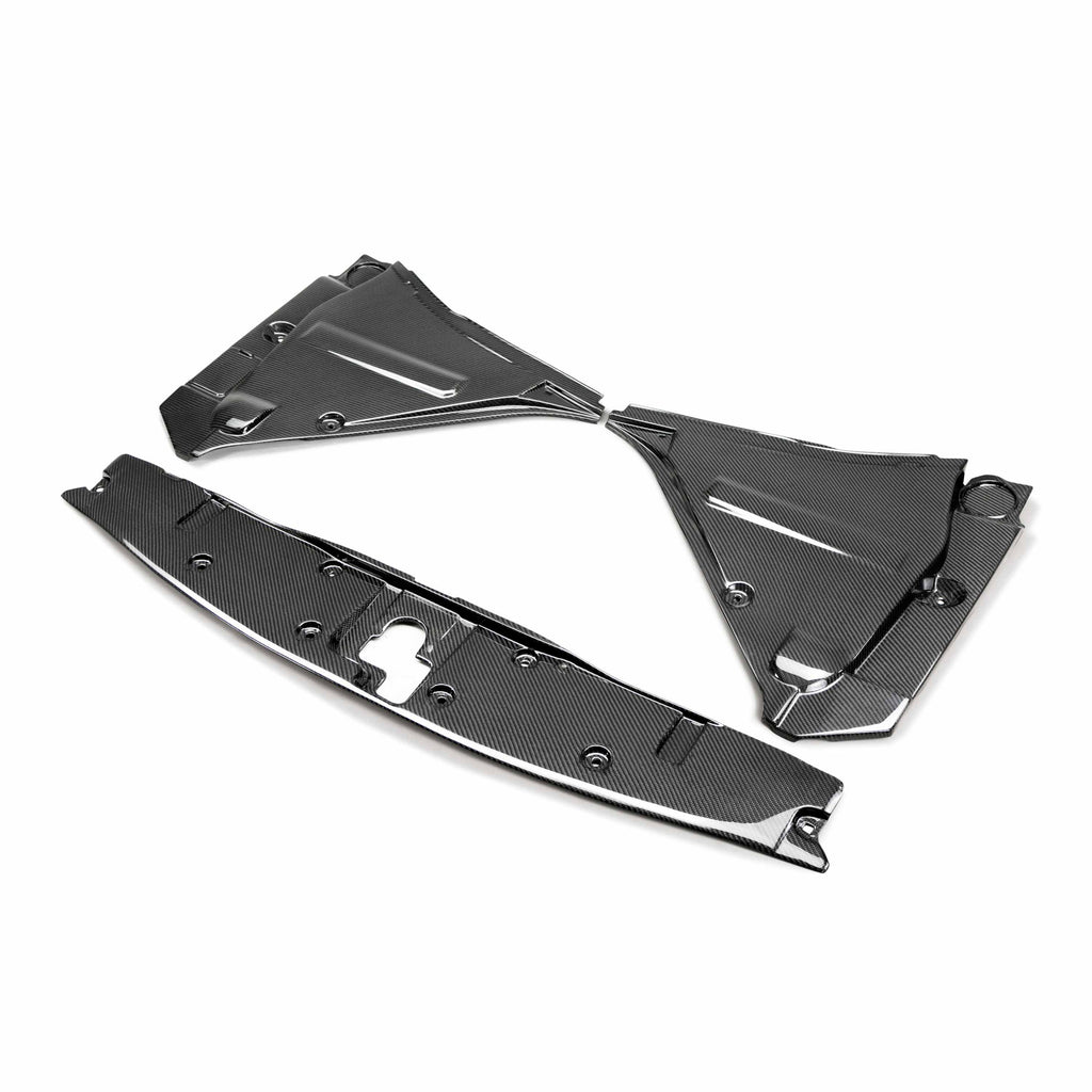 Seibon Seibon 09-10 Nissan GT-R R35 Carbon Fiber Cooling Plate