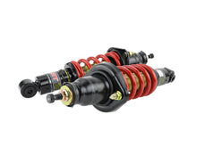 Load image into Gallery viewer, Skunk2 01-05 Honda Civic / 01-05 Acura Integra Pro-ST Coilovers (Front 10 kg/mm - Rear 10 kg/mm) - Black Ops Auto Works