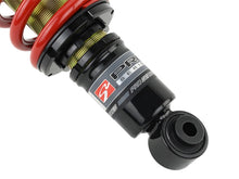 Load image into Gallery viewer, Skunk2 01-05 Honda Civic / 01-05 Acura Integra Pro-ST Coilovers (Front 10 kg/mm - Rear 10 kg/mm) - Black Ops Auto Works