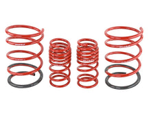 Load image into Gallery viewer, Skunk2 01-05 Honda Civic Lowering Springs (2.25in - 2.00in.) (Set of 4) - Black Ops Auto Works