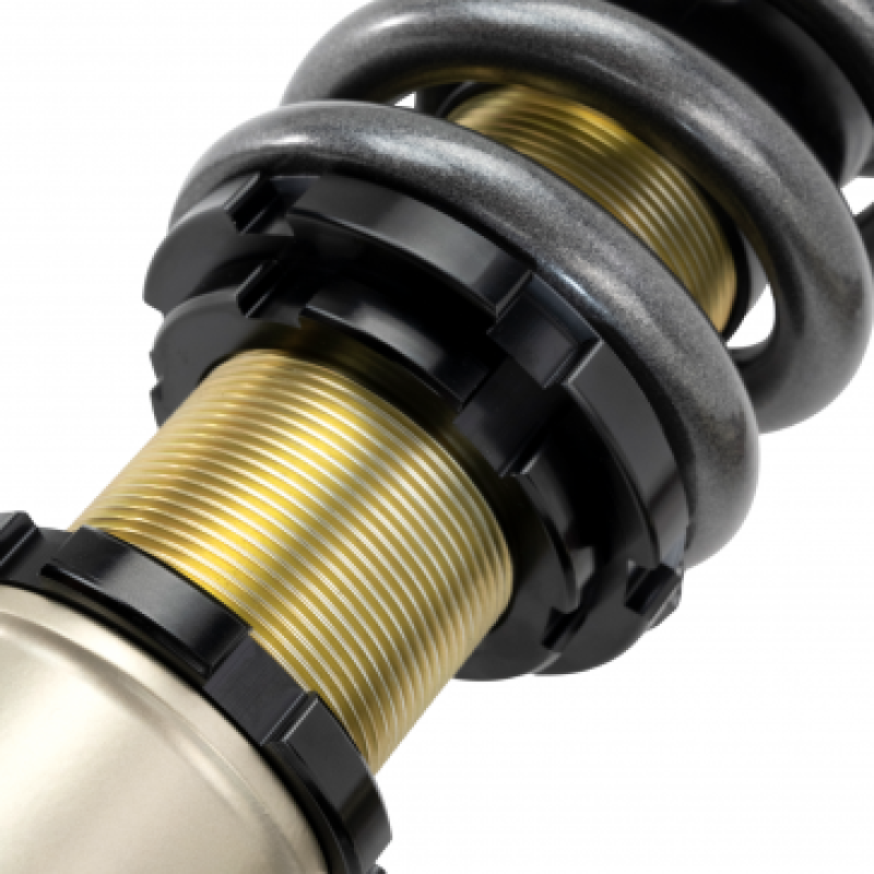 Skunk2 92-95 Honda Civic/94-01 Acura Integra (EG/EK/DC) Pro-S II