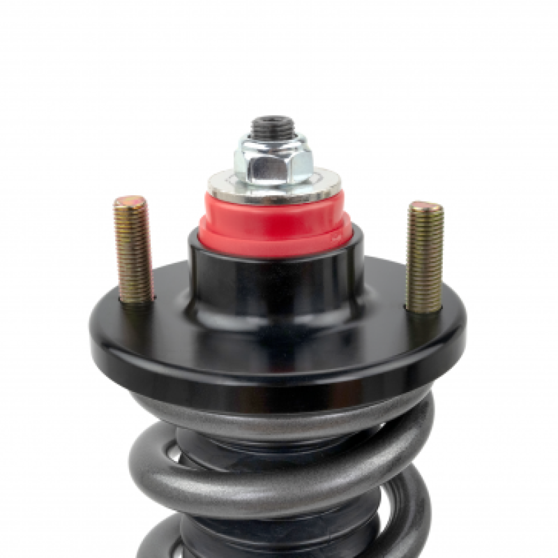 Skunk2 92-95 Honda Civic/94-01 Acura Integra (EG/EK/DC) Pro-S II