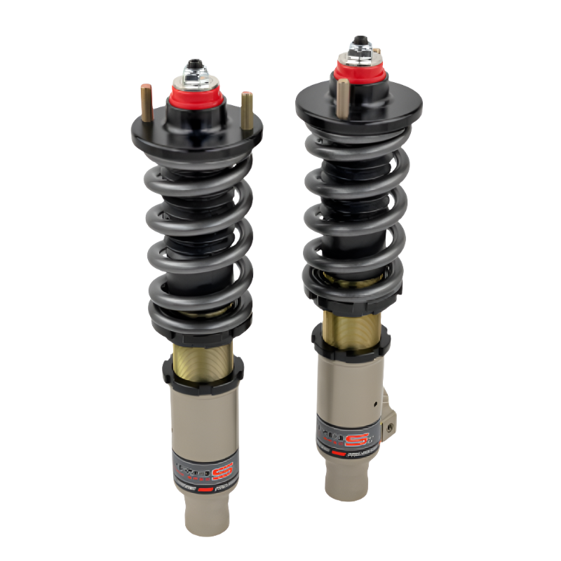 Skunk2 92-95 Honda Civic/94-01 Acura Integra (EG/EK/DC) Pro-S II