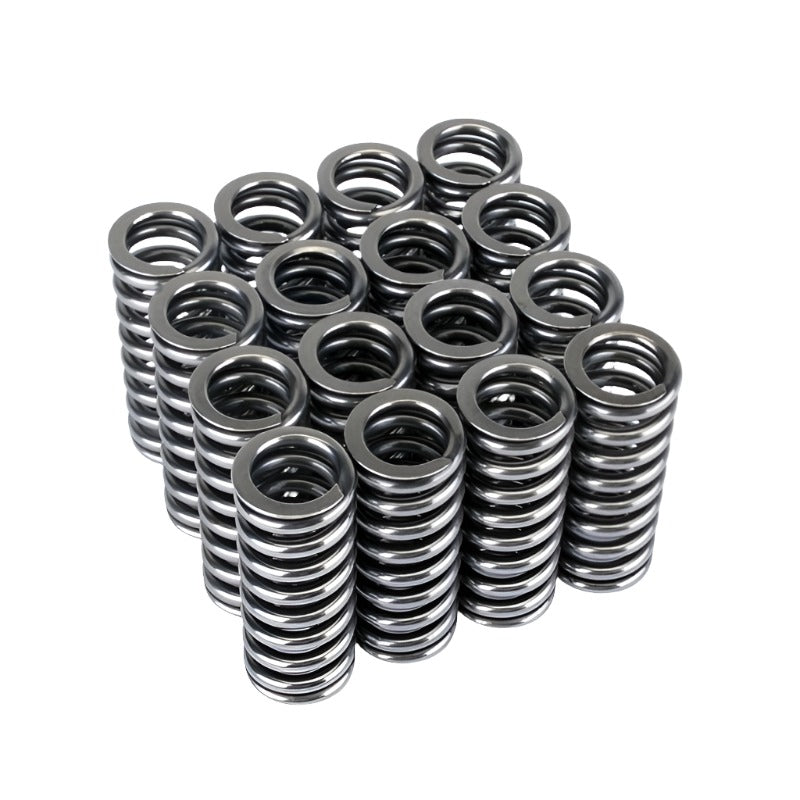 Skunk2 Alpha Series Honda D Series VTEC Valve Spring Set - Black Ops Auto Works