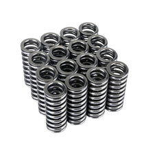 Load image into Gallery viewer, Skunk2 Alpha Series Honda D Series VTEC Valve Spring Set - Black Ops Auto Works